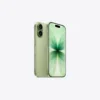 17sage1