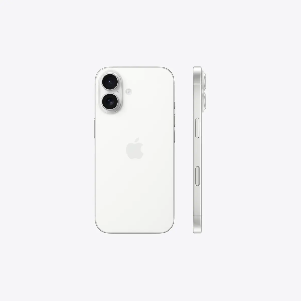 17white2