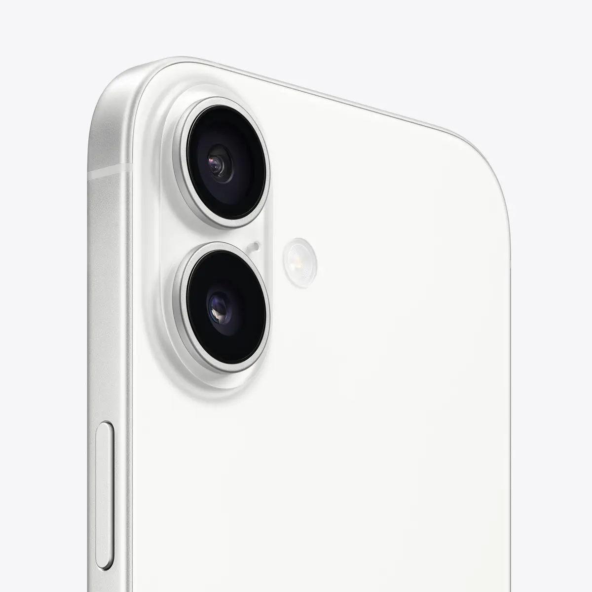 17white3